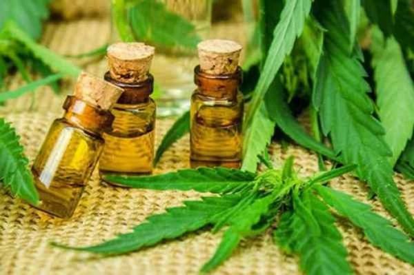 Silva Facetti propone liberar licencias para producir cannabis medicinal