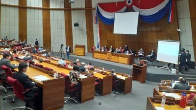 Diputados sancionan exoneración por tres meses del pago de energía, agua y Copaco