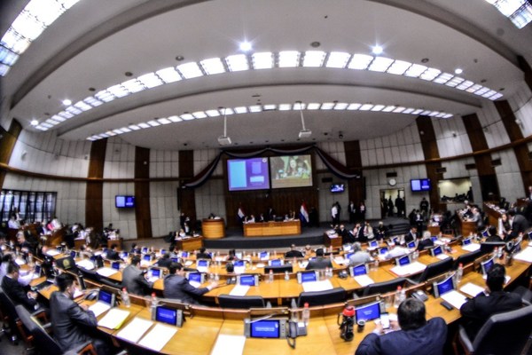 Sesiones de Diputados serán por videoconferencia ante emergencia sanitaria - ADN Paraguayo
