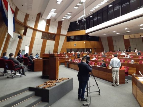 Ley de emergencia: Sancionan exoneración de pago de servicios por tres meses