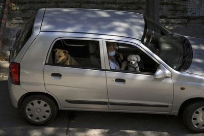 Uruguayos se manifiestan por medidas del gobierno por covid-19 - Mundo - ABC Color