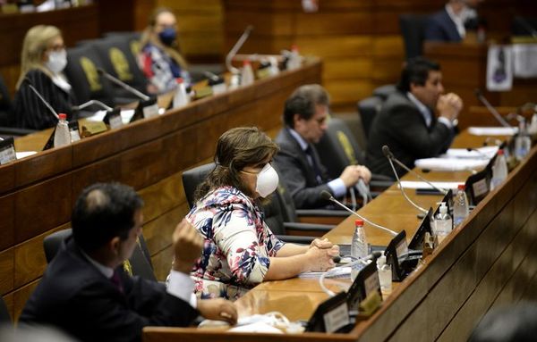 Senado solo hará sesiones virtuales de las comisiones - Política - ABC Color