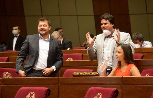 Diputados sanciona préstamo de US$ 115 millones para unidades de Salud - Política - ABC Color