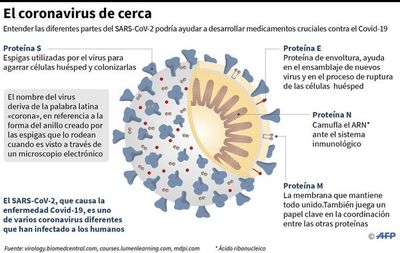 Cuatro tratamientos experimentales contra el coronavirus en Europa - Internacionales - ABC Color