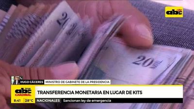 Gobierno realizará transferencias monetarias - ABC Noticias - ABC Color