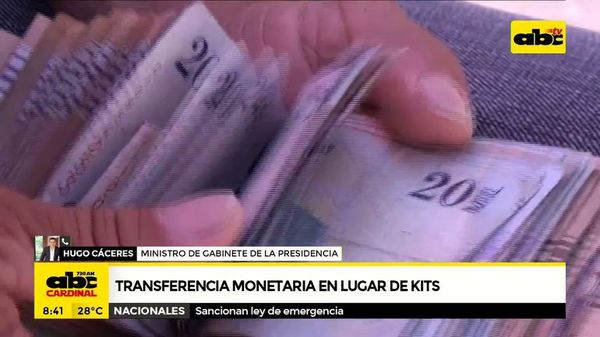 Gobierno realizará transferencias monetarias - ABC Noticias - ABC Color