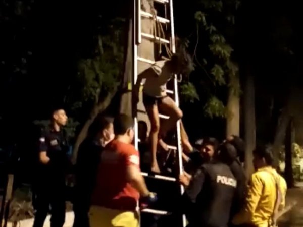 Joven subió a un árbol de eucalipto y fue rescatada por bomberos