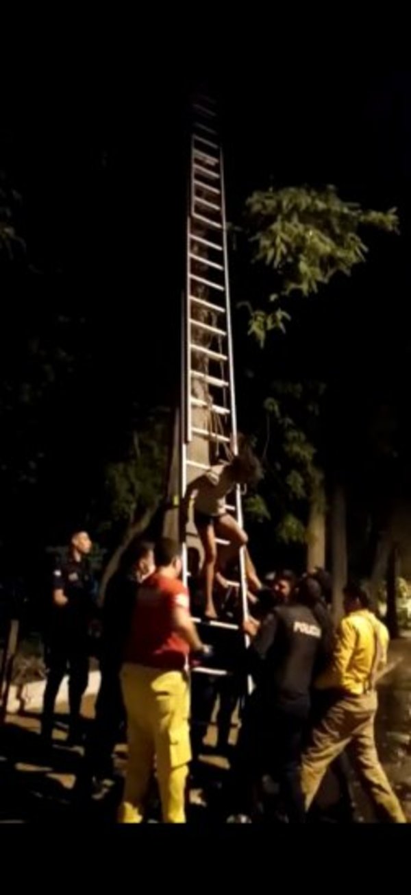 Joven subió a un árbol de eucalipto y fue rescatada por bomberos