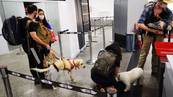 Países repatrian a sus ciudadanos varados en Paraguay - Nacionales - ABC Color