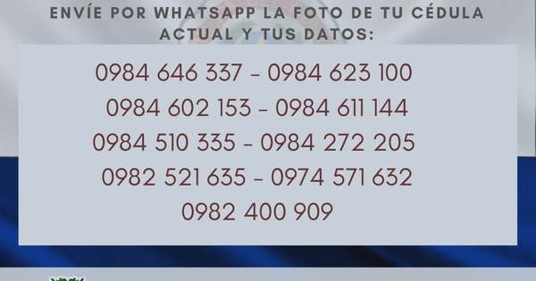 Es oficial: habilitan WhatsApp para la transferencia monetaria