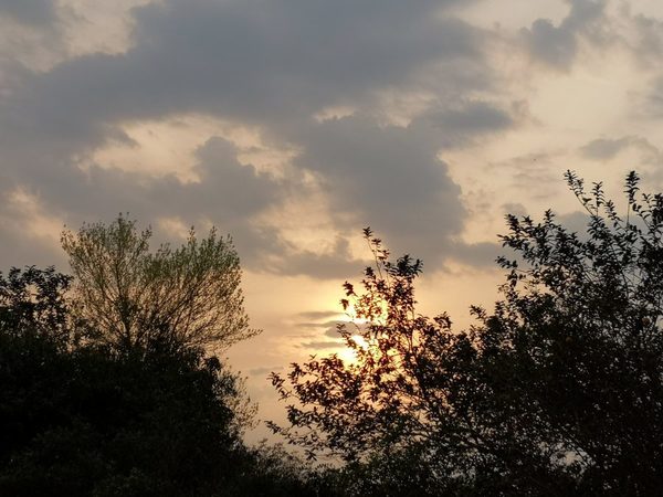 Lluvias y ocasionales tormentas a partir de hoy