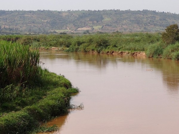 África: Un hombre no respetó la cuarentera y terminó devorado por un cocodrilo