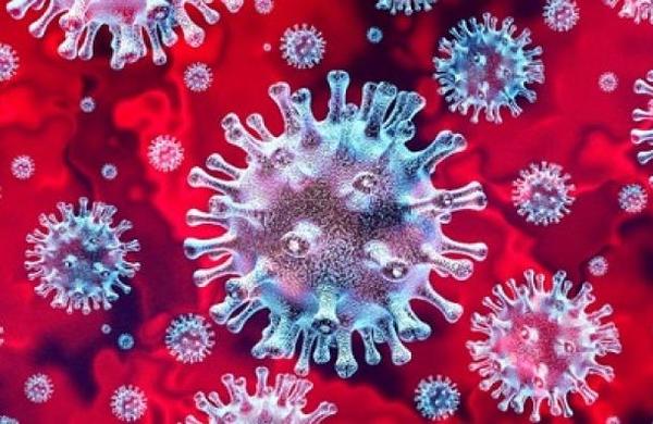¿Es posible ser inmune al coronavirus? - C9N