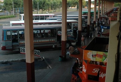 Empresas del transporte público de Cordillera piden el paro total del servicio
