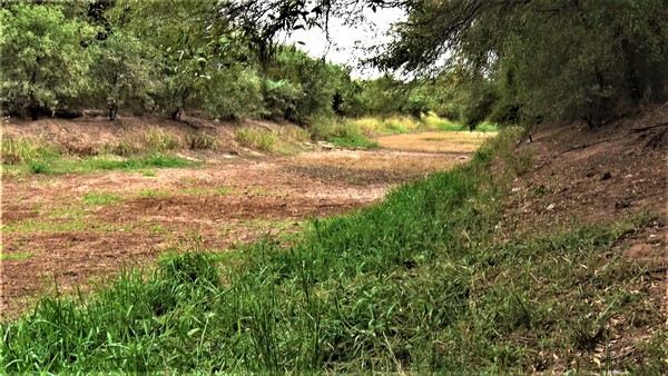 Cada vez son más las comunidades del Chaco que demandan agua potable