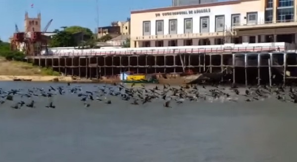 El río Paraguay y la bahía recuperan su brillo