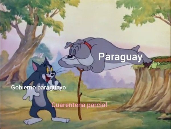 Nuevo fiasco del gobierno de Marito. - Campo 9 Noticias