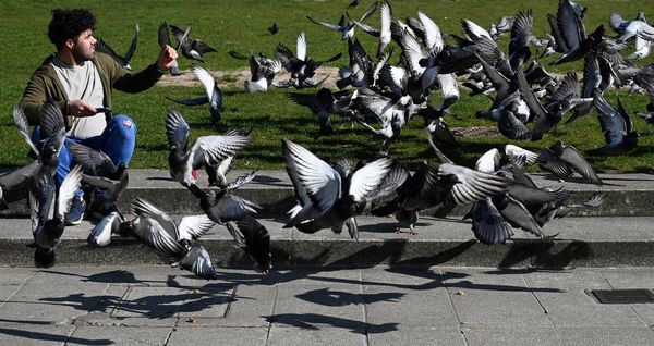 Con los humanos confinados, la naturaleza resurge