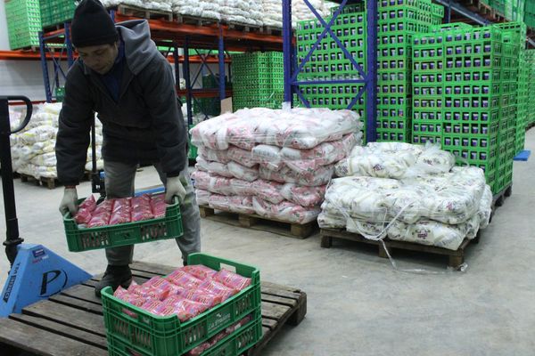 Sector lácteo garantiza la producción y comercialización en el mercado