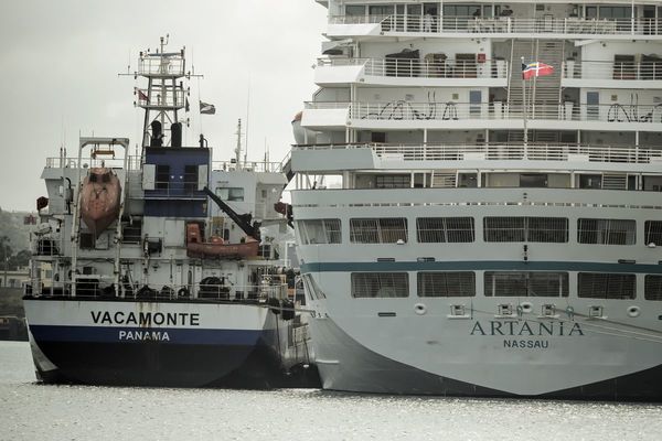 Decenas de casos de COVID-19 en crucero