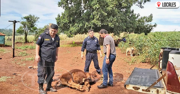 En Edelira, rescatan seis animales robados