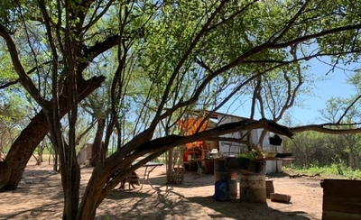 HOY / Denuncian que exfiscal lidera invasión de propiedad en el Chaco
