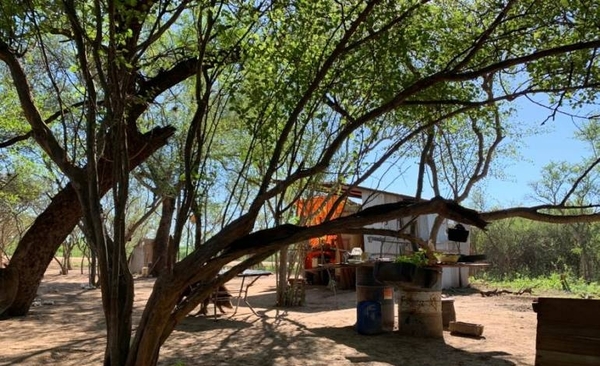 HOY / Denuncian que exfiscal lidera invasión de propiedad en el Chaco