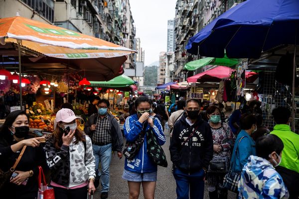 De no creer: Volvió venta de carne de murciélago en China