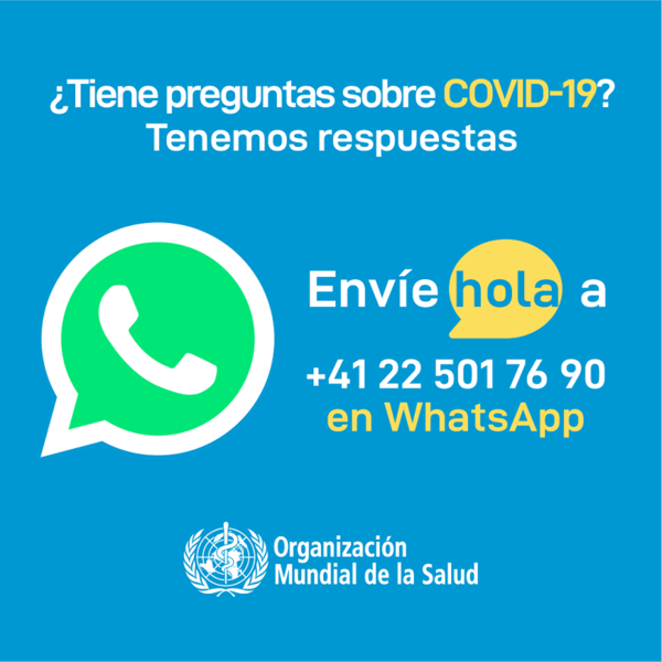 Salud Pública divulga chat de Whatsapp de la OMS para actualizarse sobre coronavirus - ADN Paraguayo