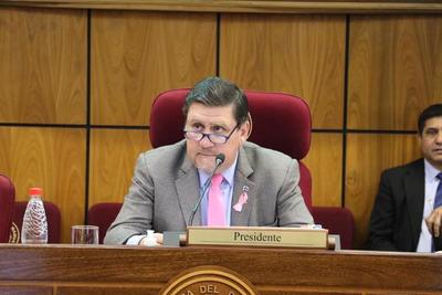 Senadores tratarán el miércoles la prórroga de elecciones municipales y del mandato de intendentes y concejales - ADN Paraguayo