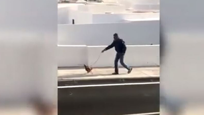 Video: violó la cuarentena por sacar a pasear a su gallina