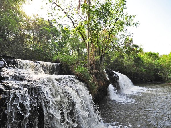 Ocho áreas protegidas atesoran rica fauna y flora de Alto Paraná y Canindeyú