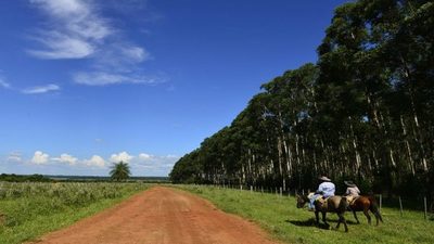 Pensar en un Paraguay más rural