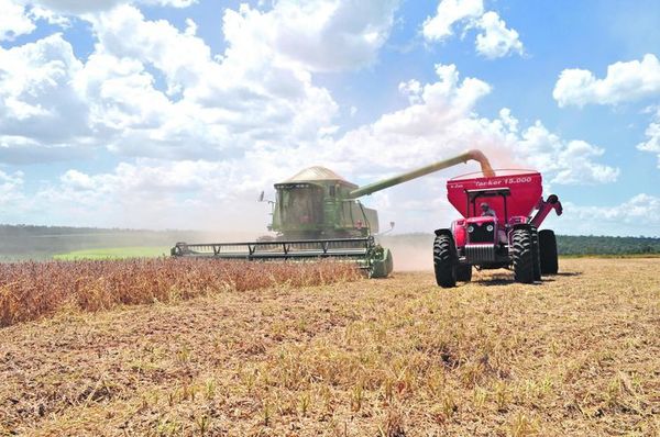 Ingresos en el sector agrícola no disminuirían este año, según especialista » Ñanduti