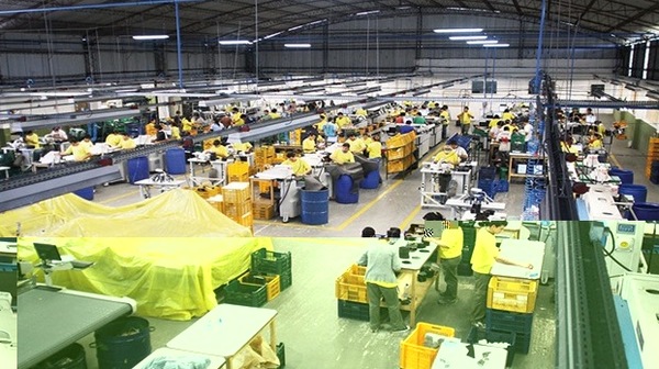 Sector industrial pide al Gobierno apoyo para soportar la crisis generada por la pandemia » Ñanduti