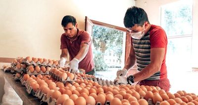 Deben crear plan para sector más vulnerable