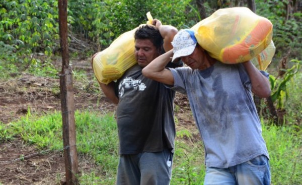 Más de 5 mil kits de alimentos entregados en 9 barrios de CDE