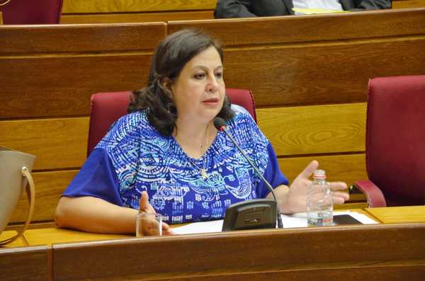 Los que tengan un patrimonio de 30 salarios mínimos deberían de aportar 1 %, propone senadora » Ñanduti