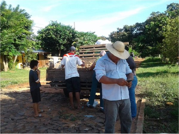 Productor repartió 2.000 kilos de mandioca a familias en Yby Yaú