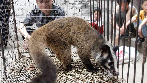 En China reabren mercados con la venta de murciélagos y otros animales exóticosEn China reabren mercados con la venta de murciélagos y otros animales exóticos · Radio Monumental 1080 AM