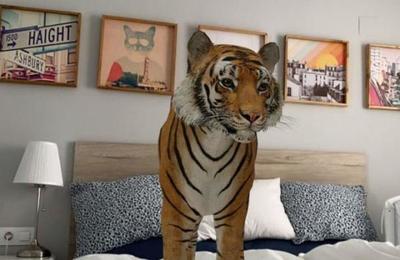 Así puedes activar la realidad aumentada de Google y ver animales en 3D en tu casa - C9N