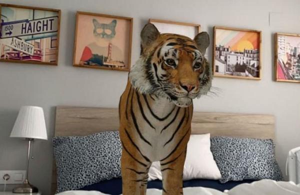 Así puedes activar la realidad aumentada de Google y ver animales en 3D en tu casa - C9N