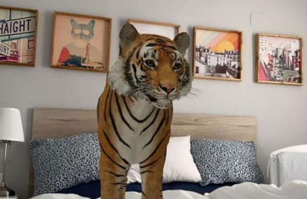 Así puedes activar la realidad aumentada de Google y ver animales en 3D en tu casa - SNT