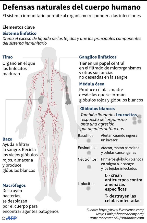 Los síntomas son variables, pero hay algunos característicos del covid-19 - Internacionales - ABC Color