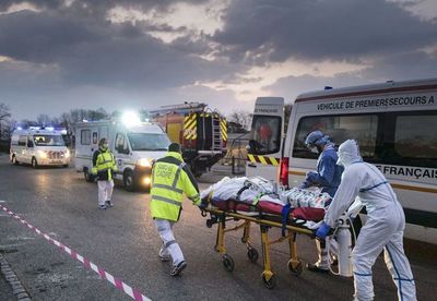La cifra fatal superó los 41.000 casos en el mundo