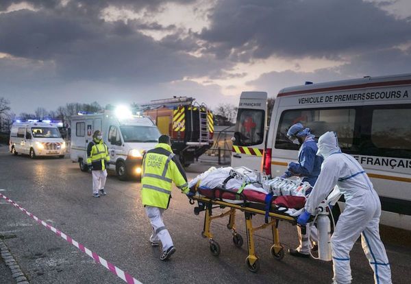 La cifra fatal superó los 41.000 casos en el mundo
