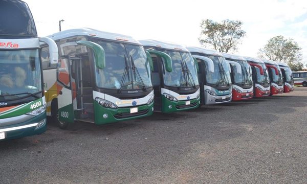 No habrá buses al interior del país en Semana Santa