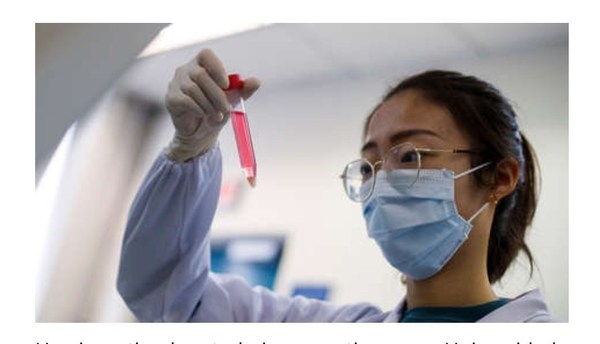 China encuentra anticuerpos "eficaces" contra el nuevo coronavirus - Digital Misiones