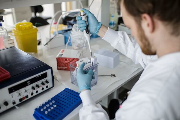 La vacuna contra el coronavirus tardará al menos un año - Ciencia - ABC Color