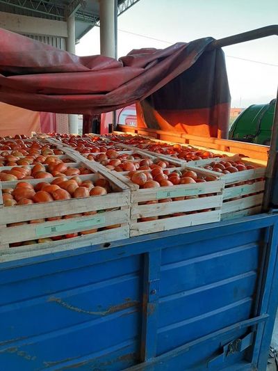 Ingreso de hortalizas y frutas garantiza el abastecimiento nacional, afirman desde el MAG - Nacionales - ABC Color
